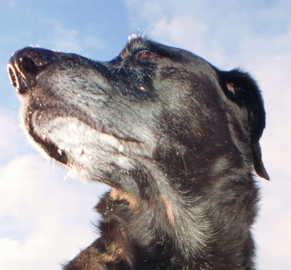 Foto zur optischen Verschoenerung