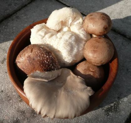 Foto zur optischen Verschoenerung